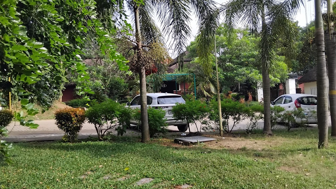 Photo of Outdoor in Hassan