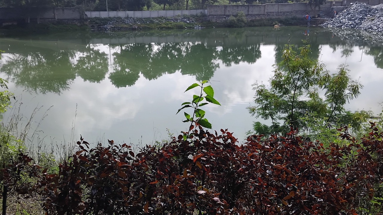 Photo of Outdoor in Hassan
