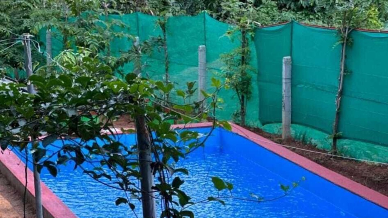 Photo of Outdoor in Krishnagiri