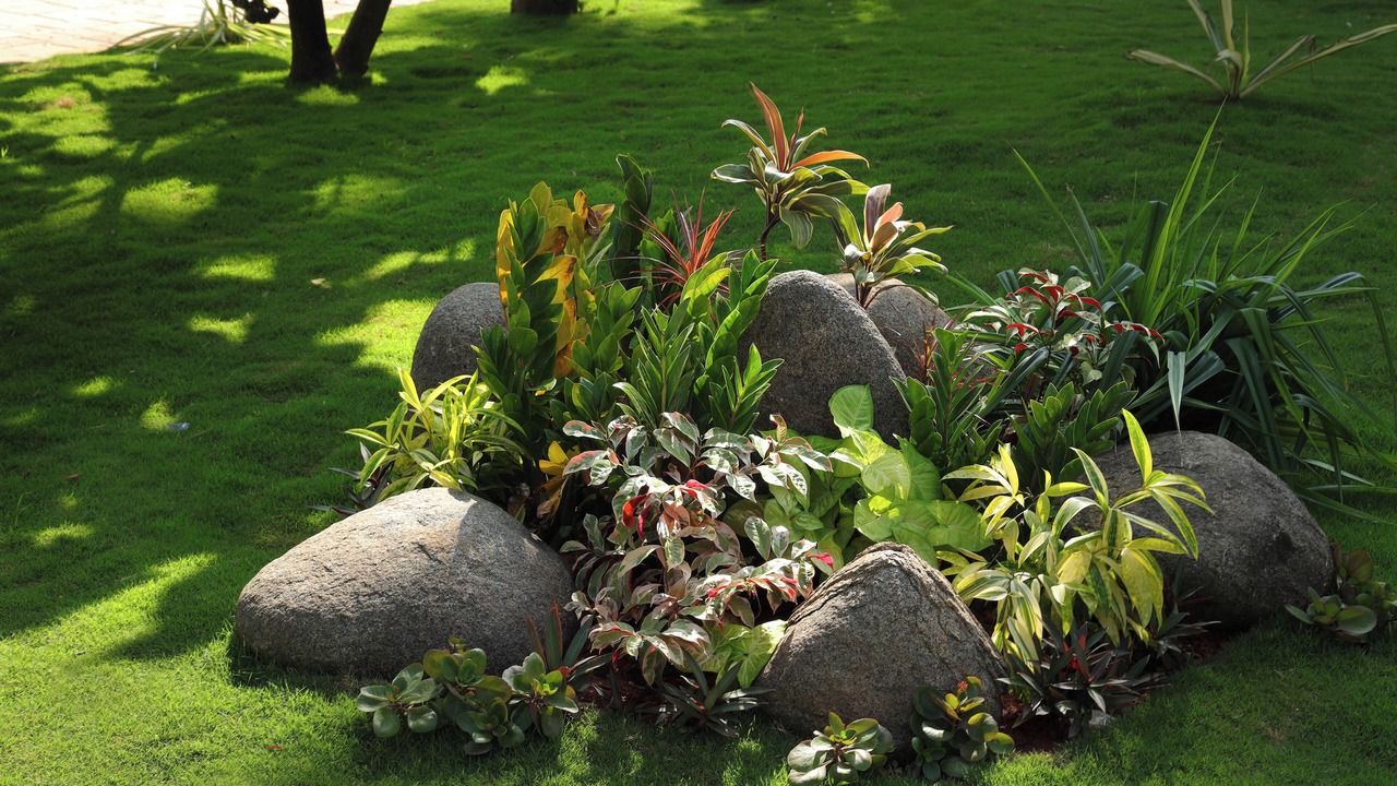 Photo of Outdoor in Kuzhuppilly