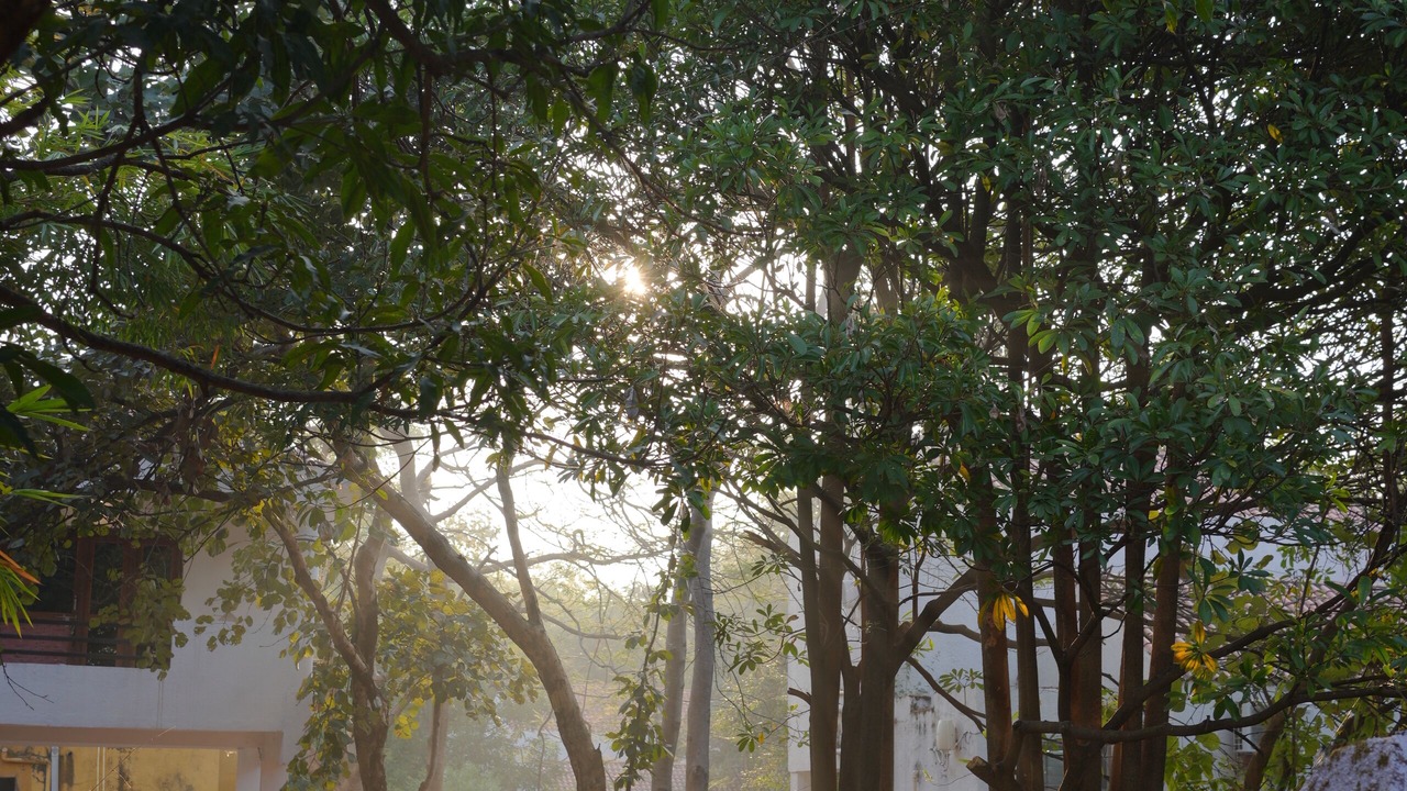 Photo of Outdoor in Avarghani