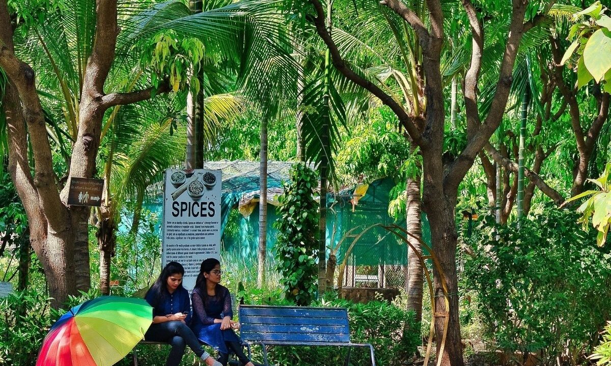 Photo of Outdoor in Vasind