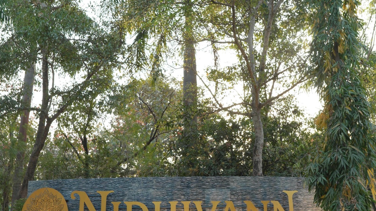 Photo of Outdoor in Kohka