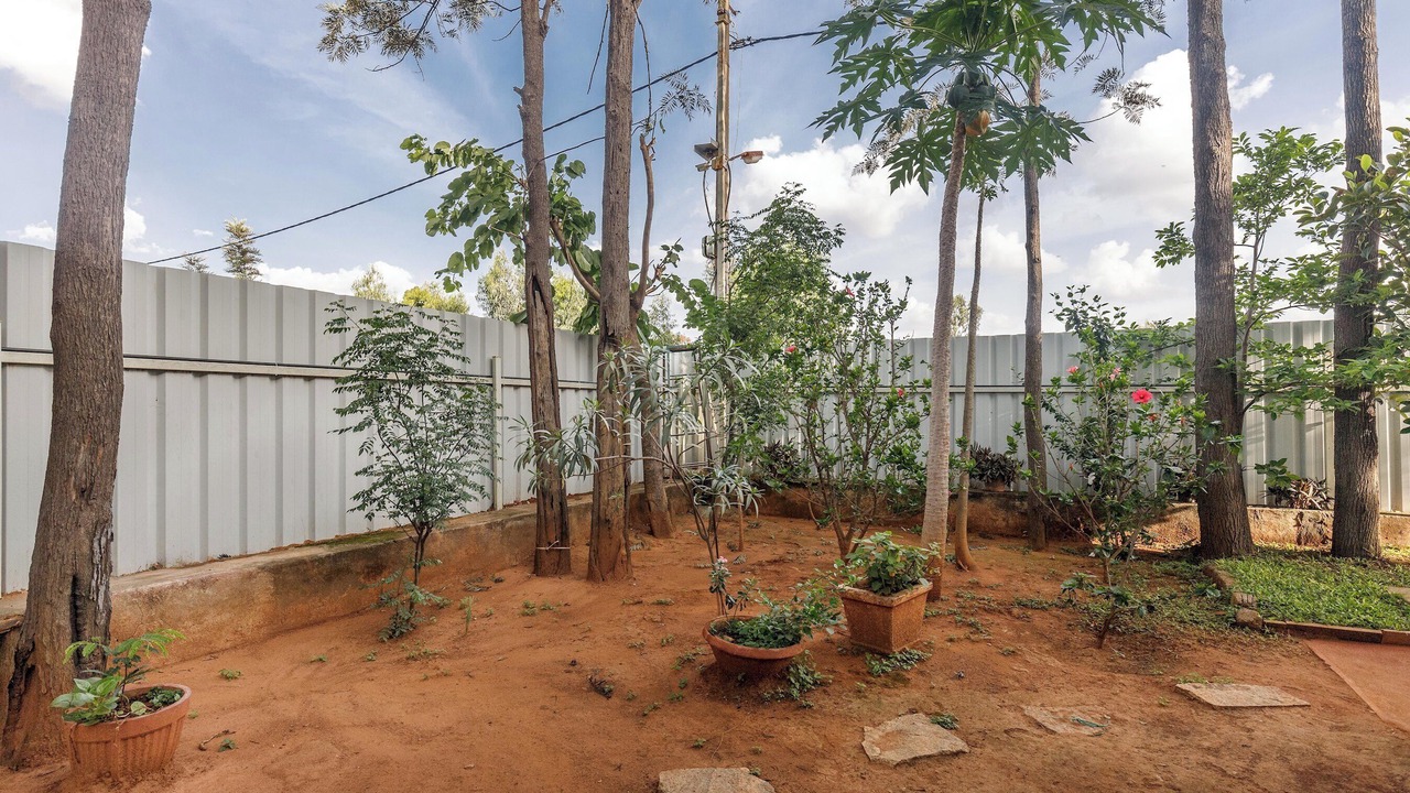 Photo of Outdoor in Bengaluru