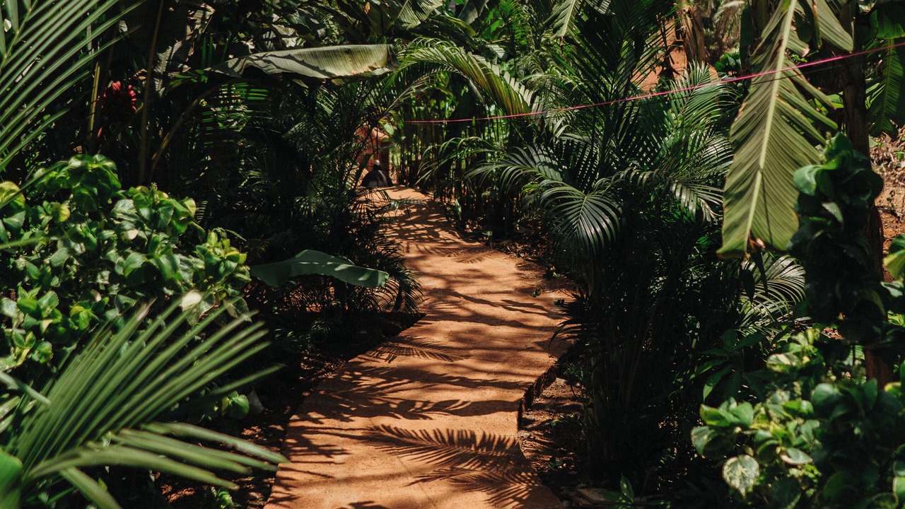 Photo of Outdoor in Assagao