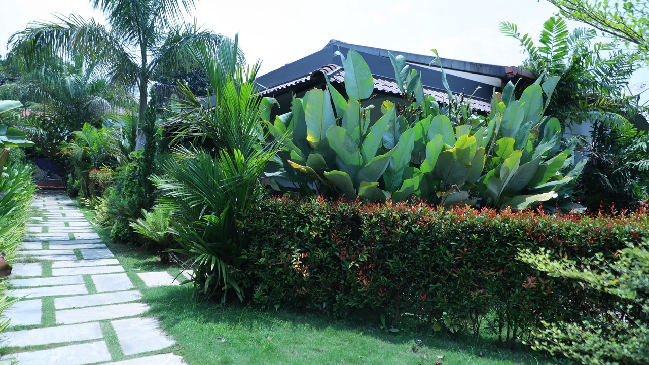 Photo of Outdoor in Sakleshpur