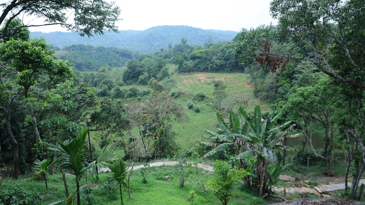 Photo of Outdoor in Sakleshpur