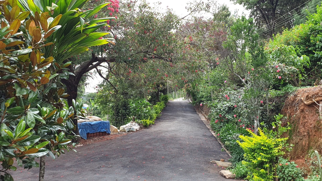 Photo of Outdoor in Vannarpet
