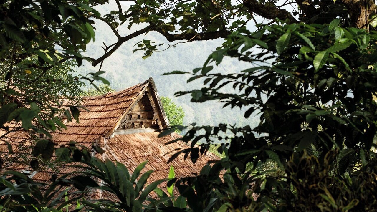 Photo of Outdoor in Elappara
