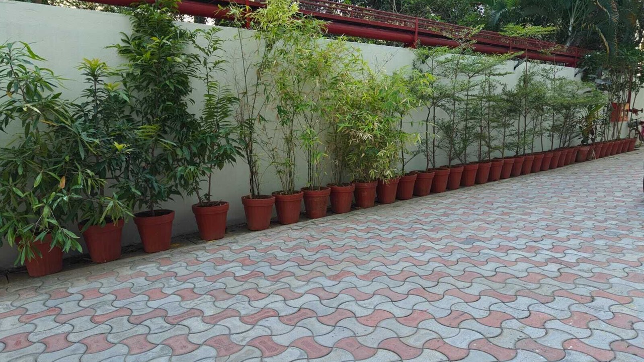 Photo of Outdoor in Pattukkottai