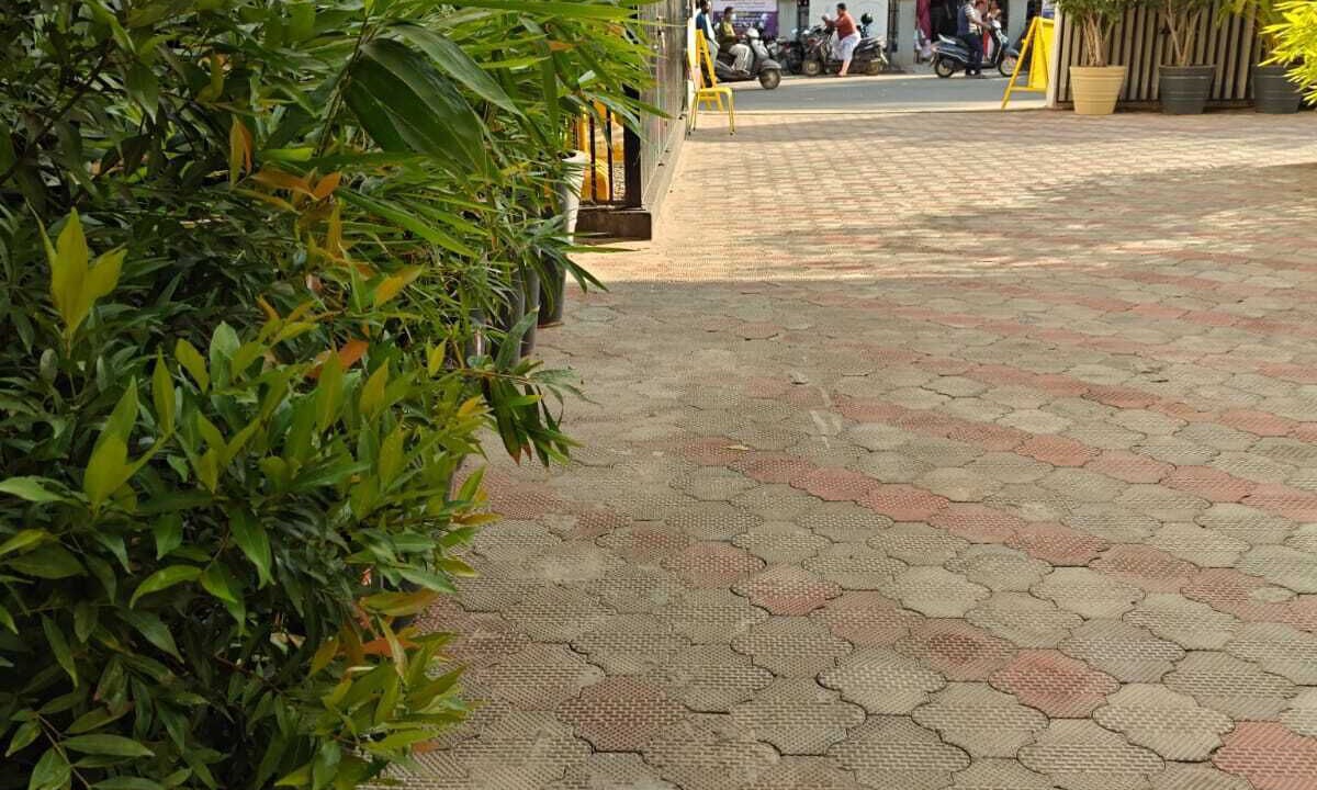 Photo of Outdoor in Pattukkottai