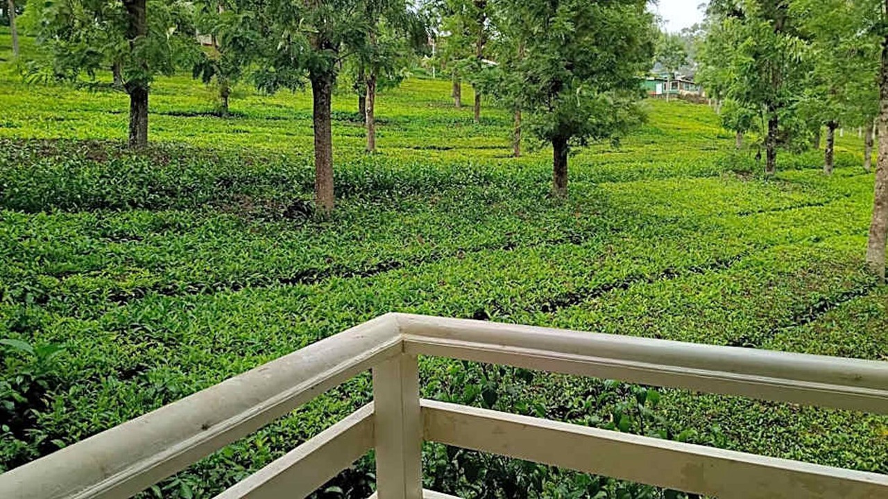 Photo of Patio Balcony in Fern Hill