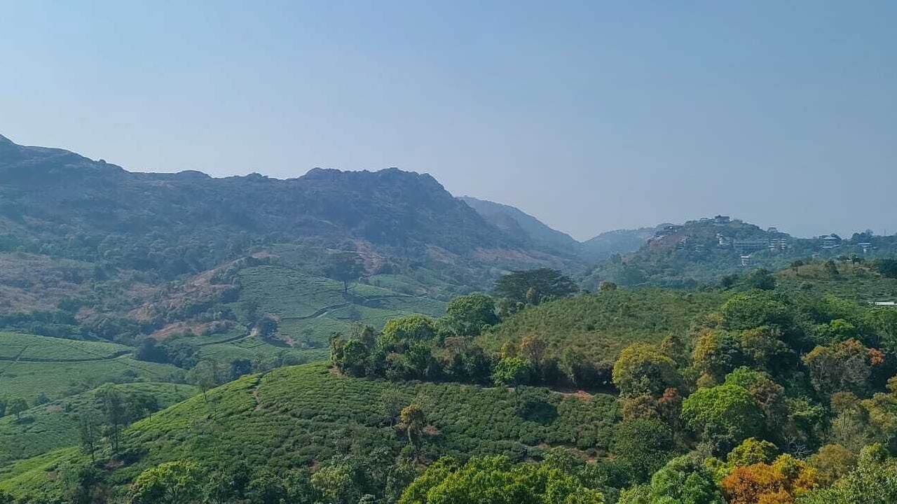 Photo of Others in Elappara
