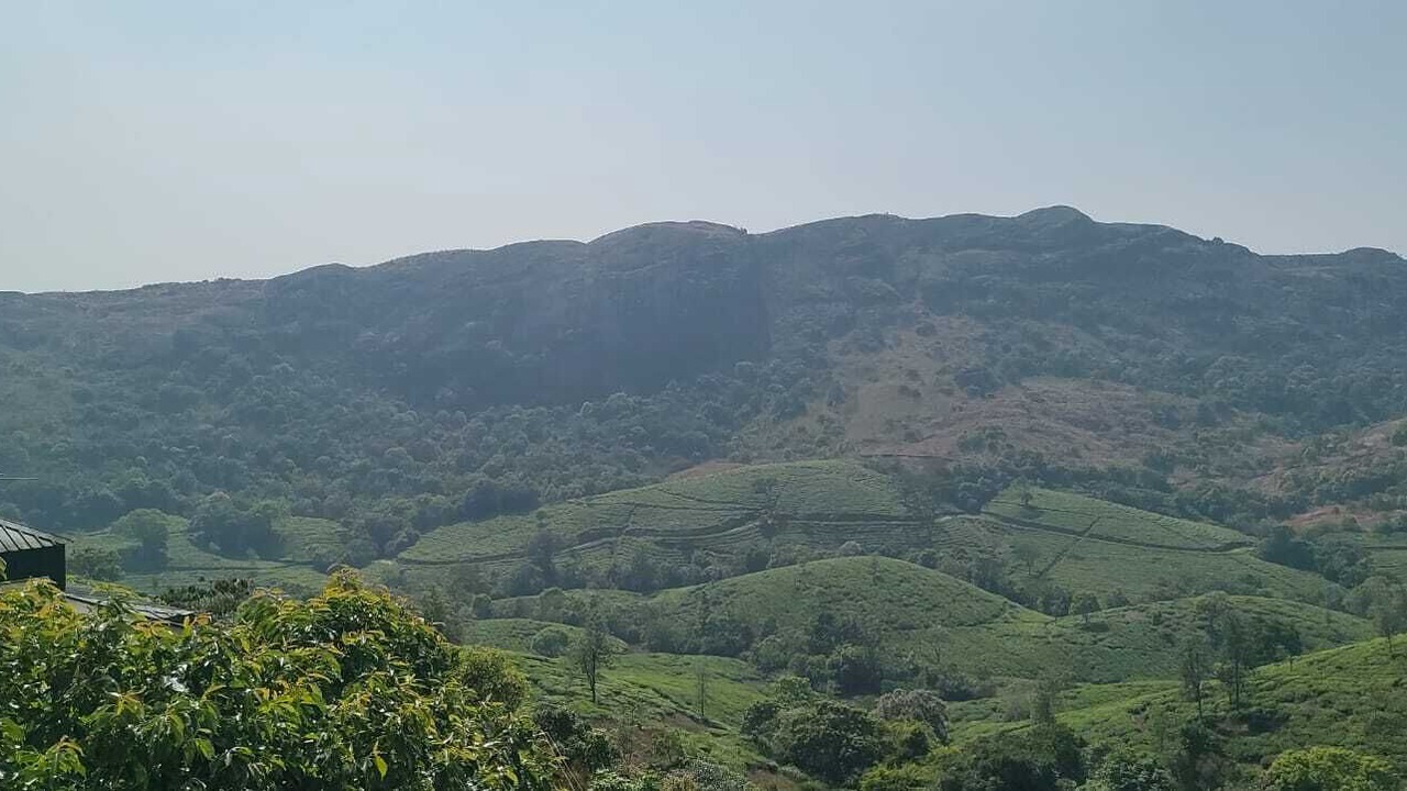 Photo of Others in Elappara