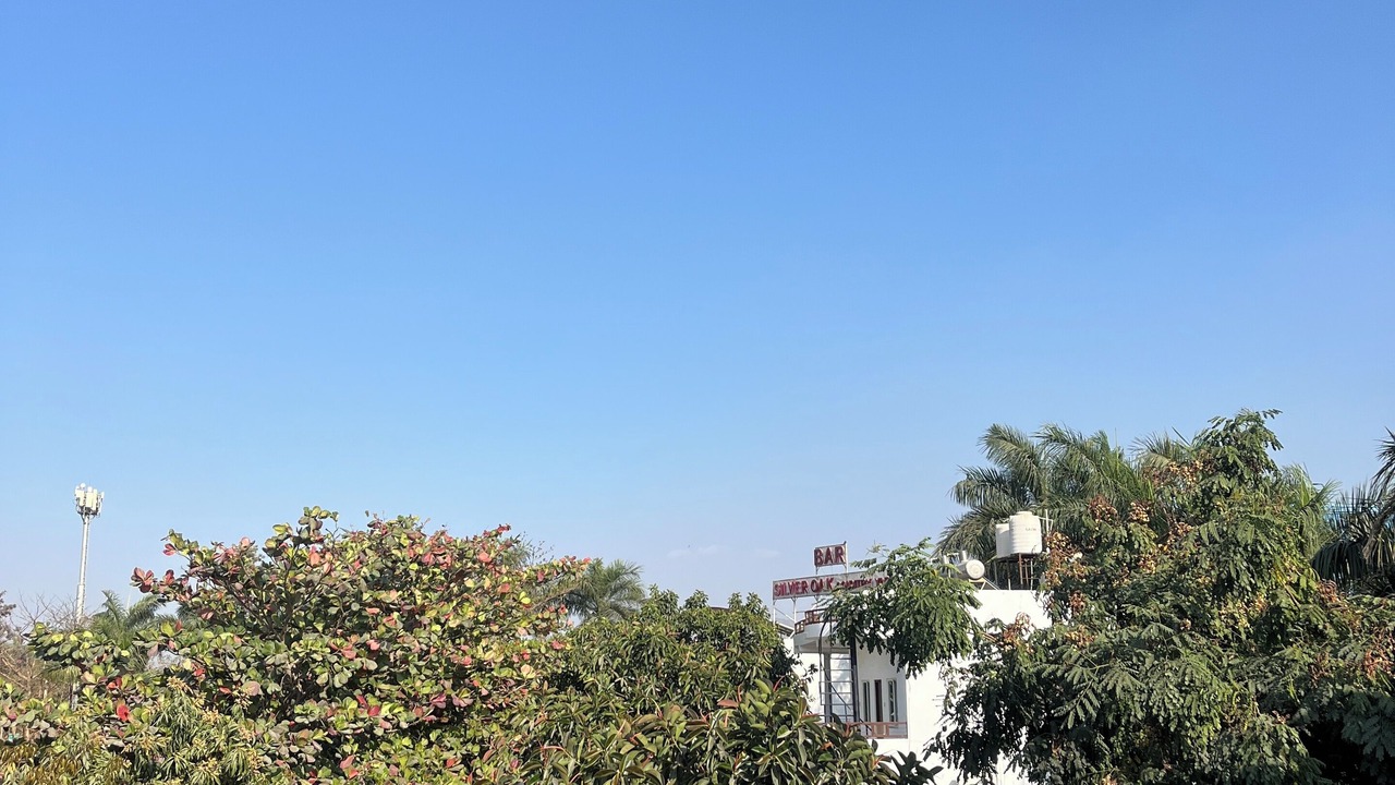 Photo of Outdoor in Wasda