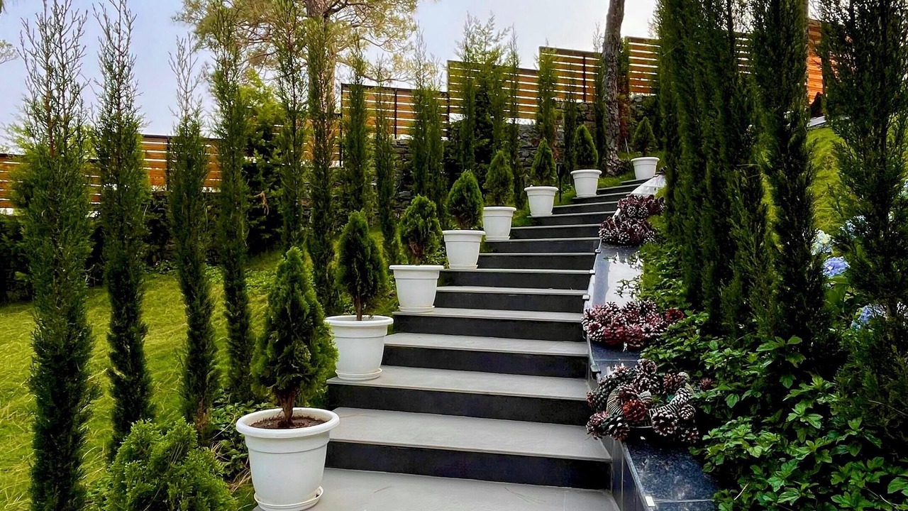 Photo of Outdoor in Ranikhet