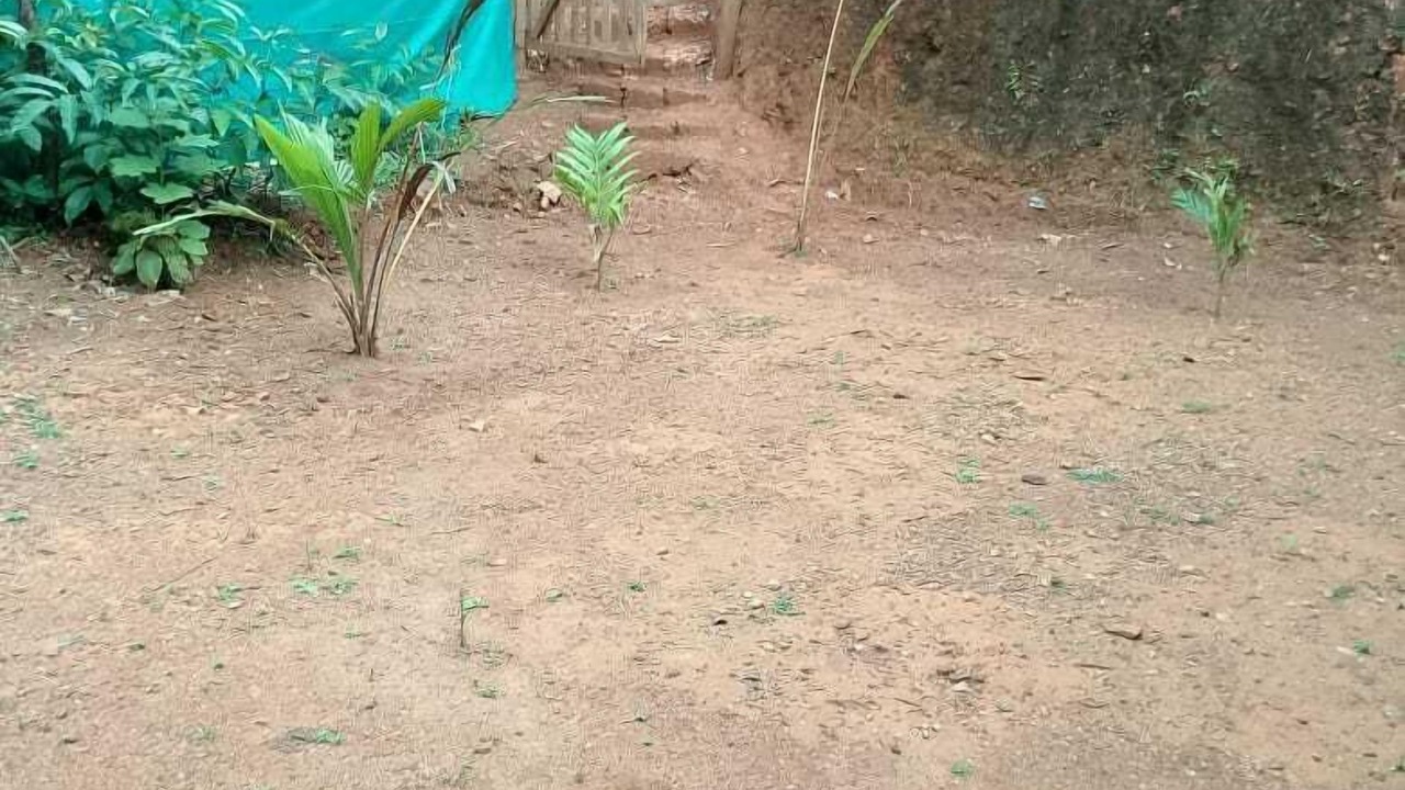 Photo of Outdoor in Gokarna