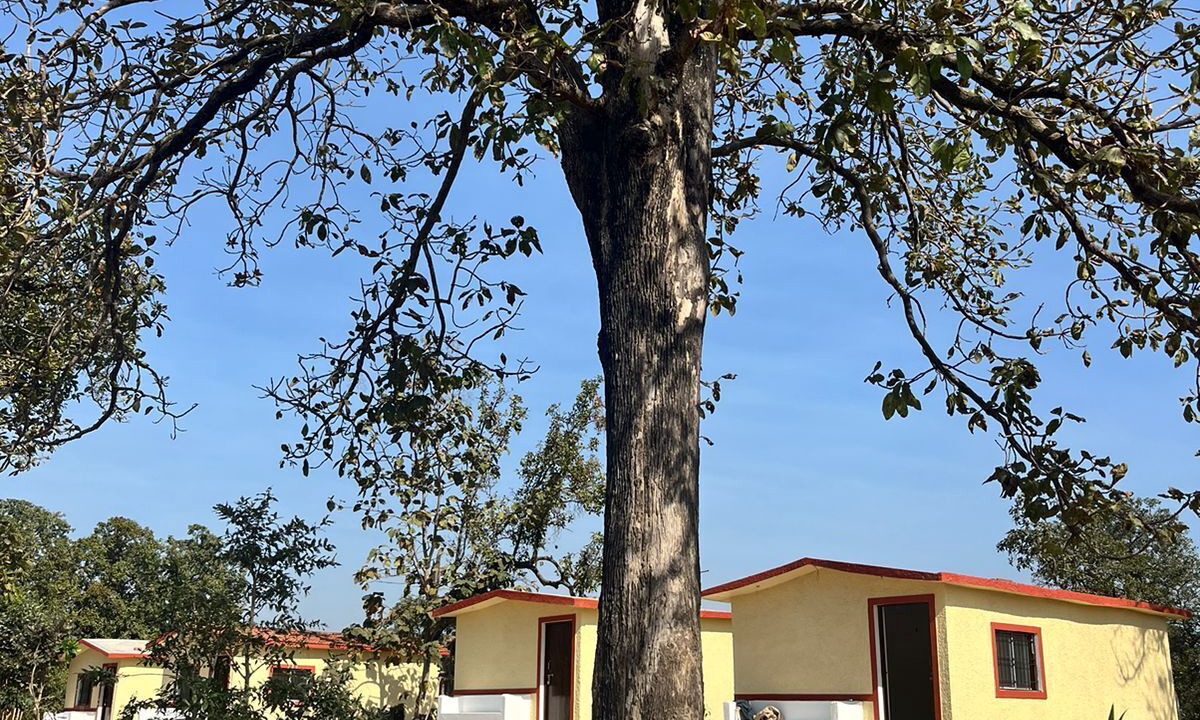Photo of Outdoor in Turiya
