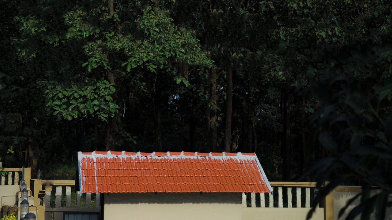 Photo of Outdoor in Kaimane