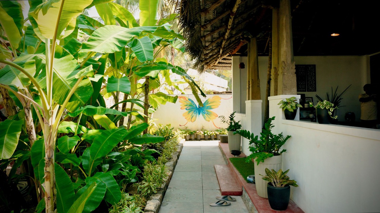Photo of Outdoor in Thiruvananthapuram
