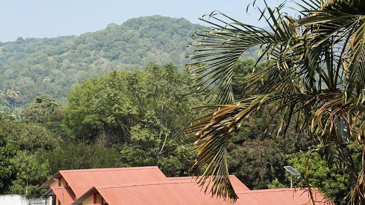 Photo of Outdoor in Anaikatti