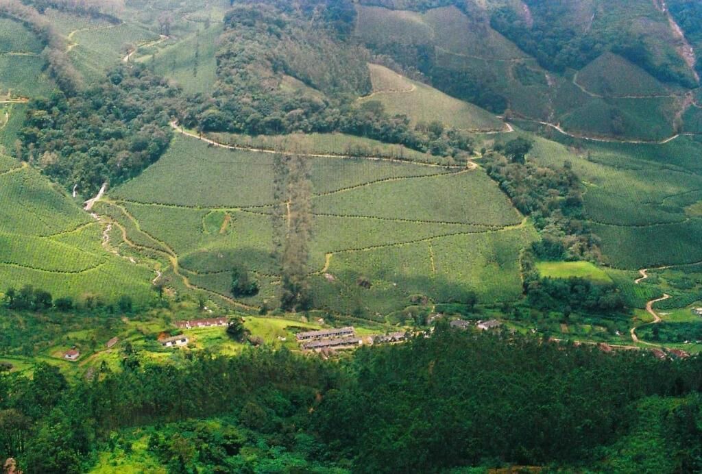Photo of Outdoor in Munnar