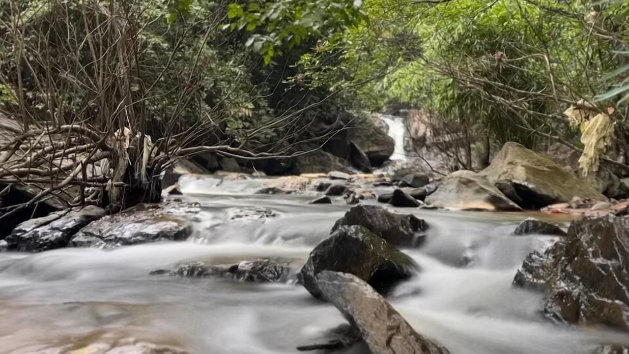 Photo of Outdoor in Sakleshpur
