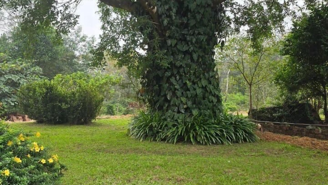 Photo of Outdoor in Sakleshpur