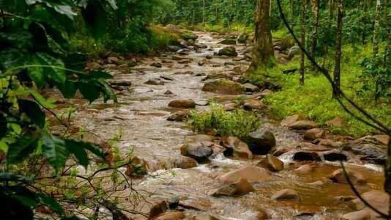 Photo of Outdoor in Chikkamagaluru