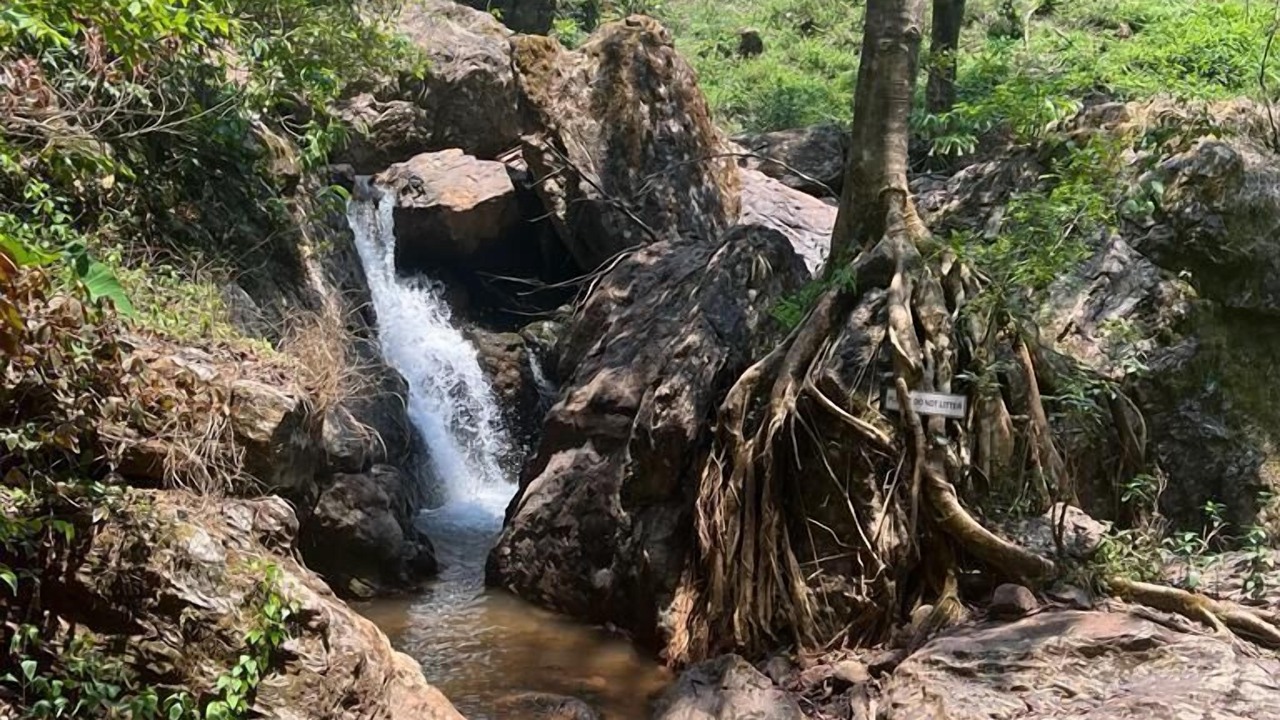 Photo of Outdoor in Chikkamagaluru