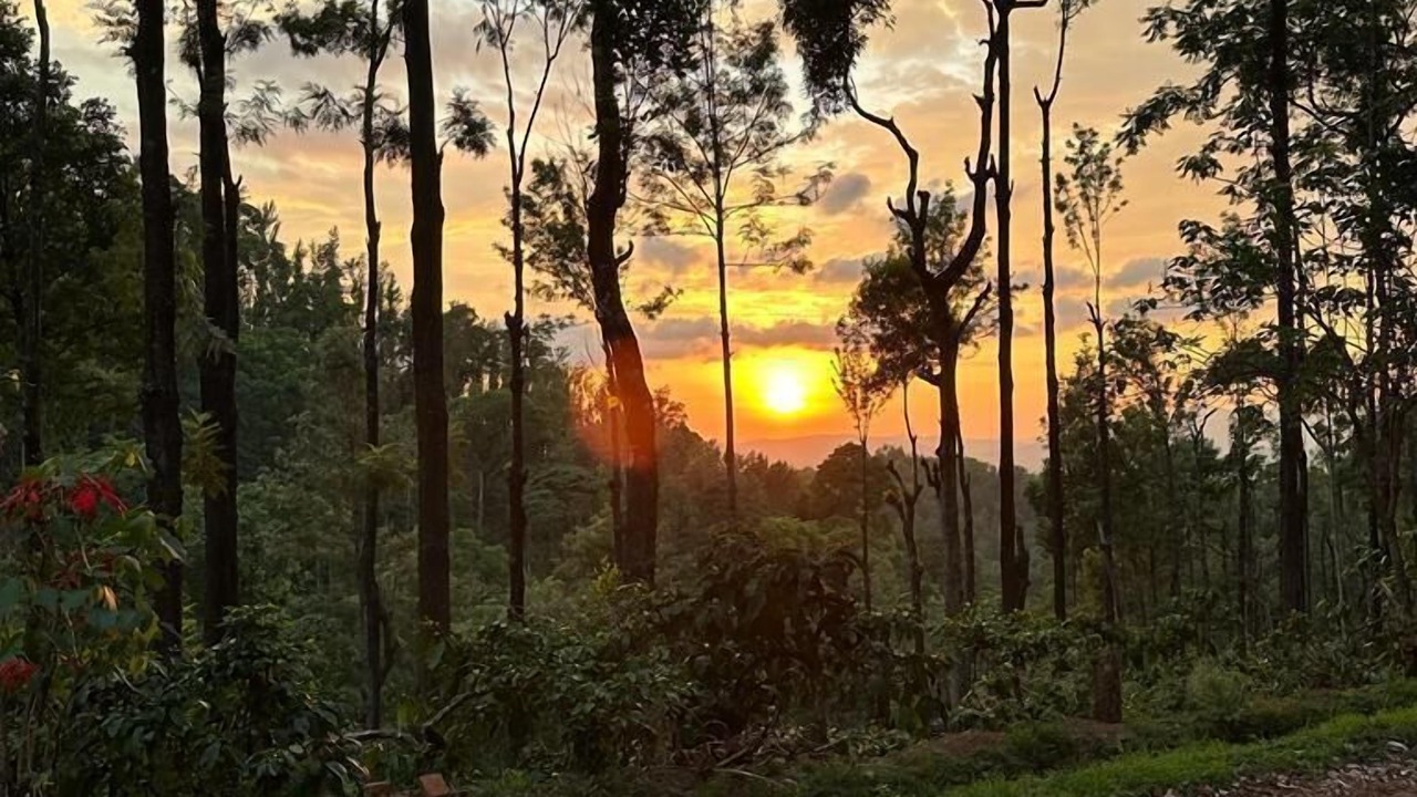 Photo of Outdoor in Chikkamagaluru
