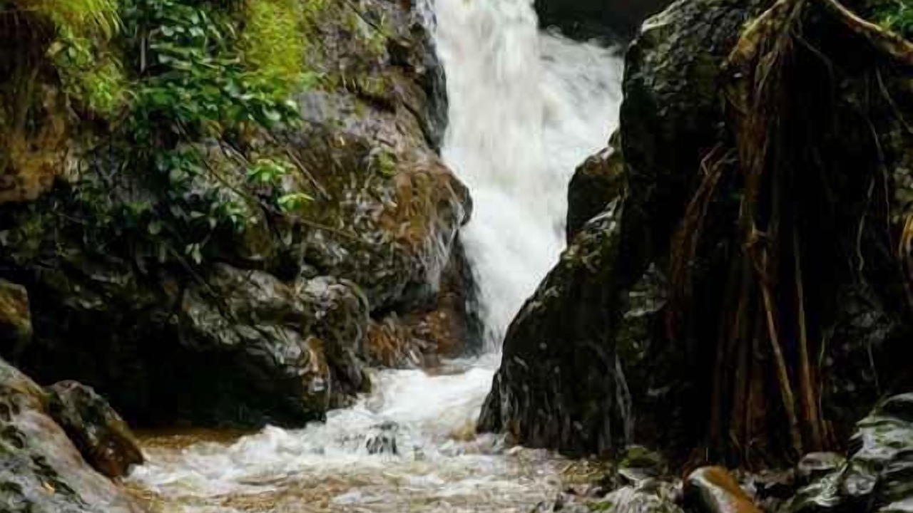 Photo of Outdoor in Chikkamagaluru