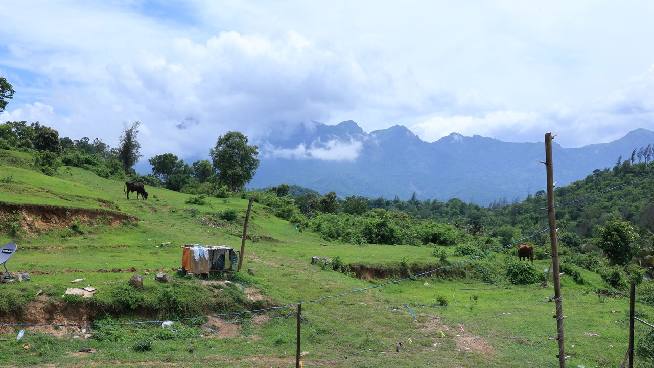 Photo of Others in Mannarkkad