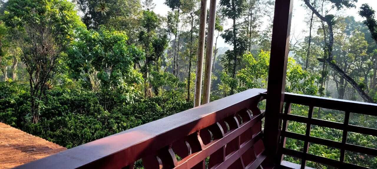 Photo of Outdoor in Madikeri