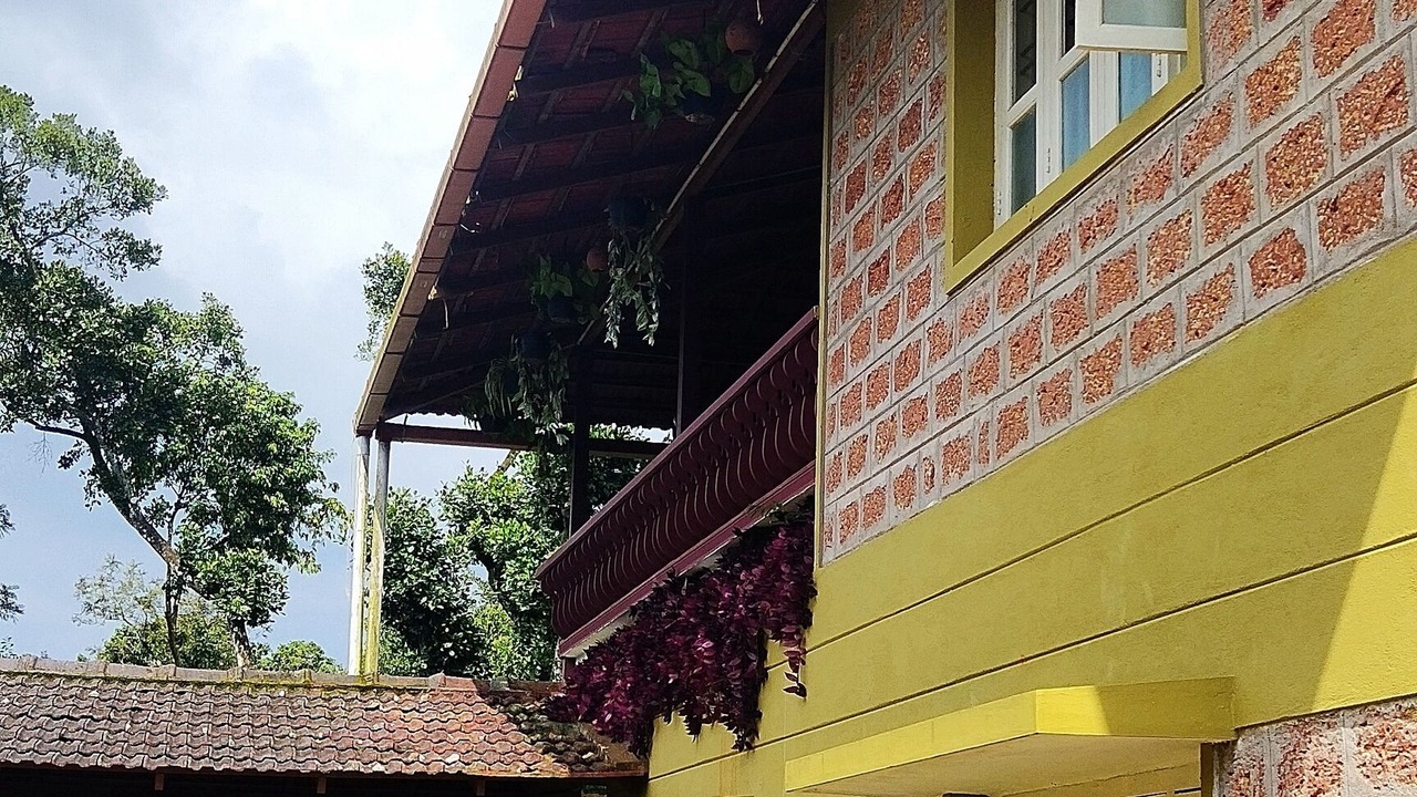 Photo of Outdoor in Madikeri