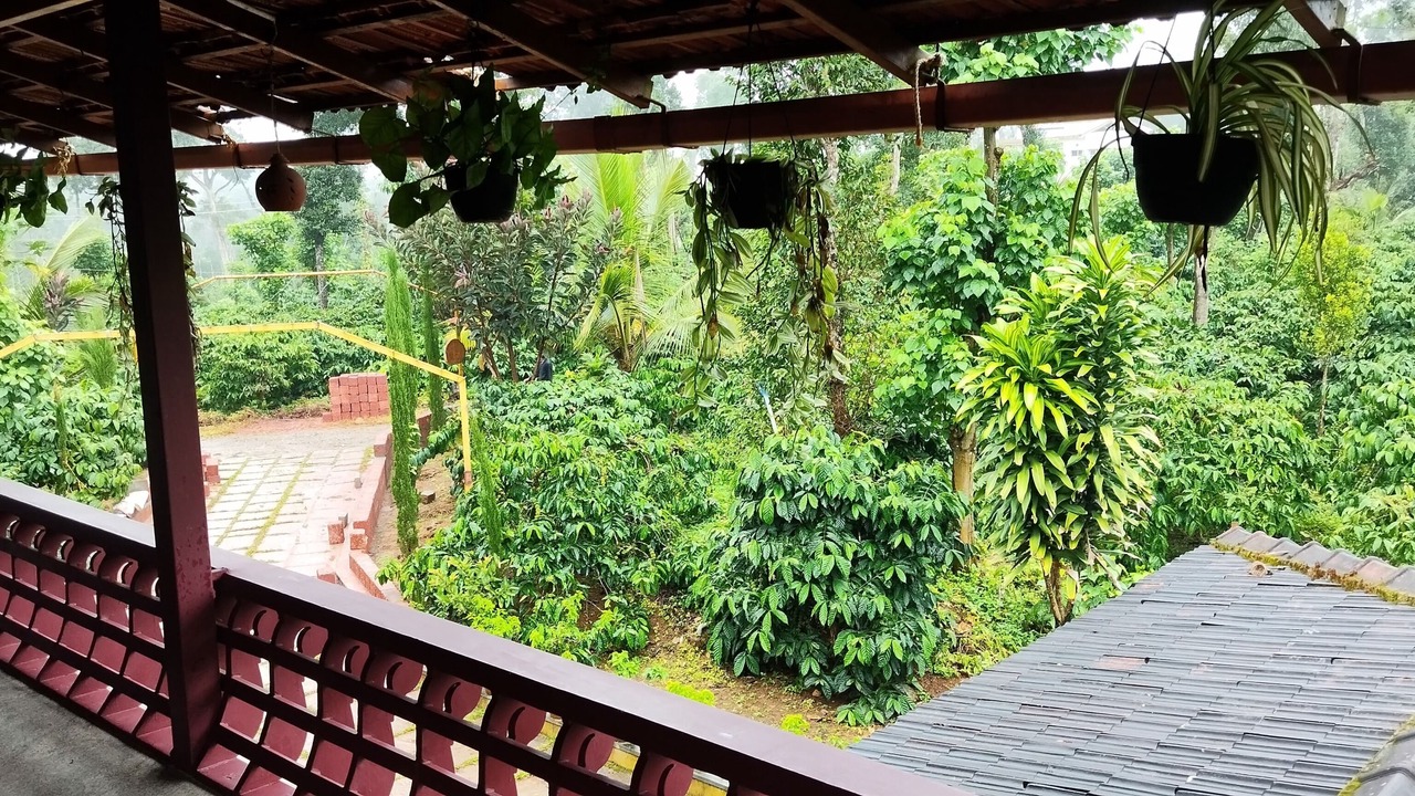 Photo of Livingroom in Madikeri