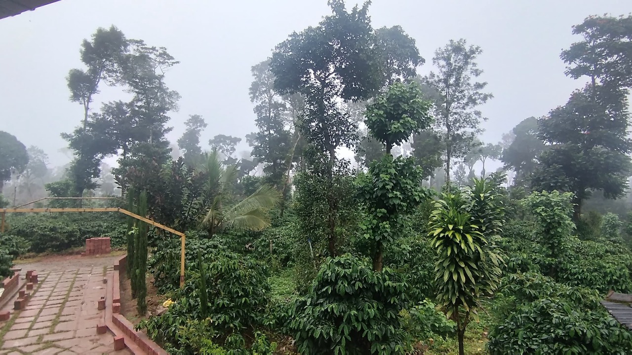 Photo of Outdoor in Madikeri