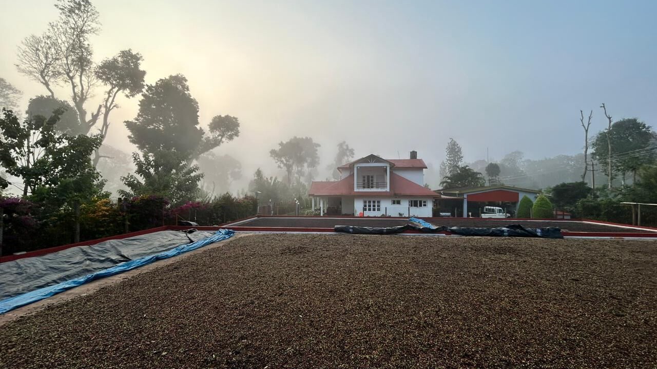 Photo of Outdoor in Madikeri