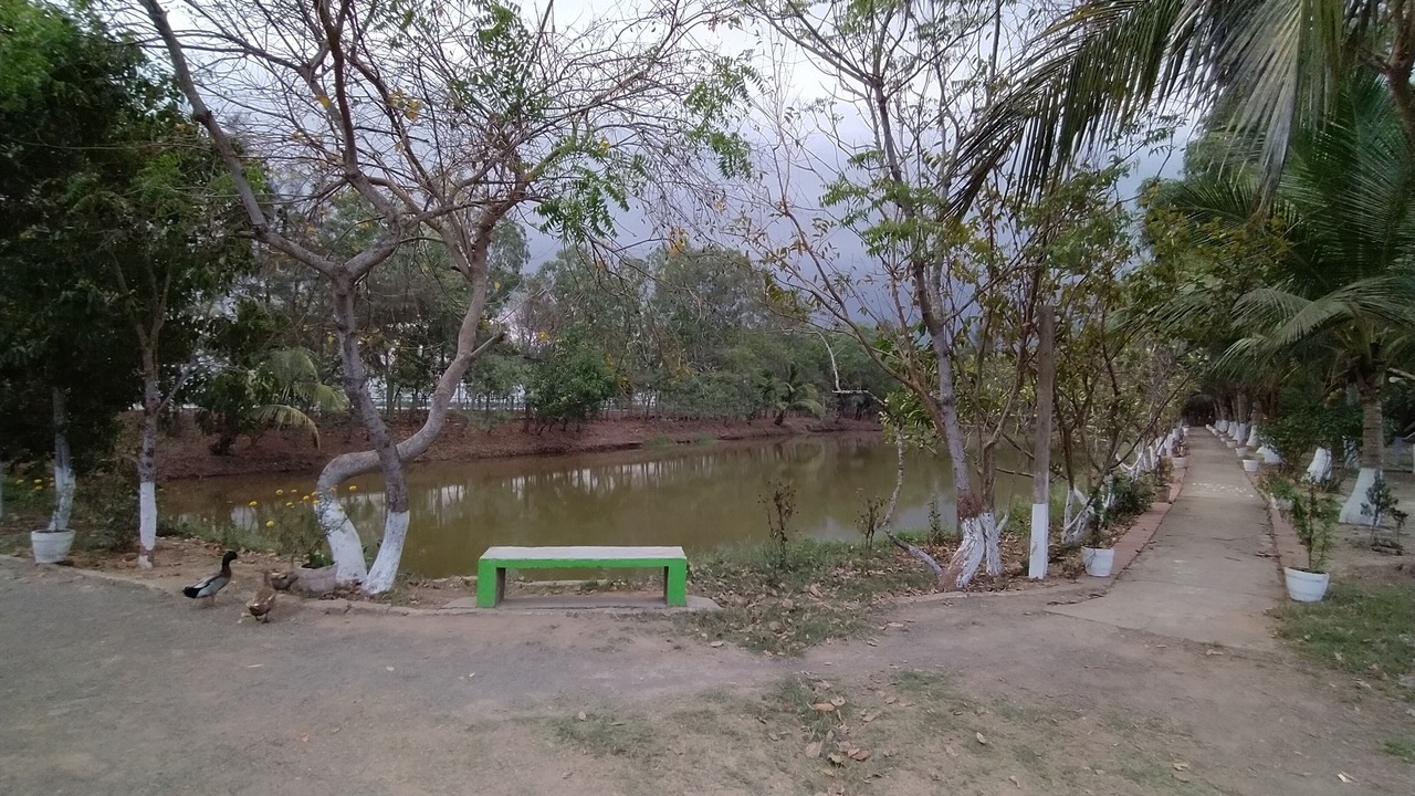 Photo of Outdoor in Bhitarkanika National Park