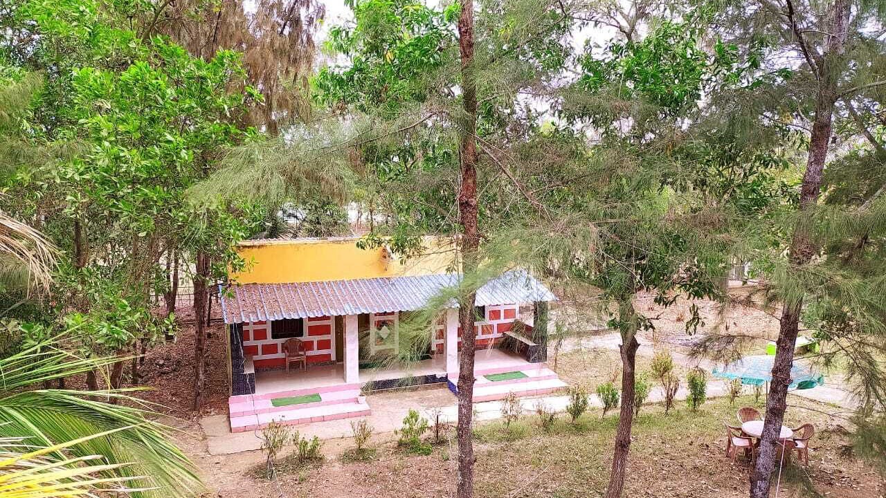Photo of Patio Balcony in Bhitarkanika National Park