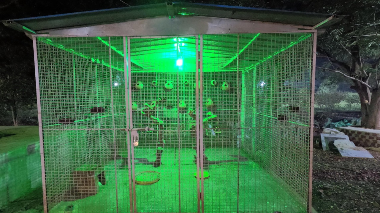Photo of Outdoor in Vikarabad