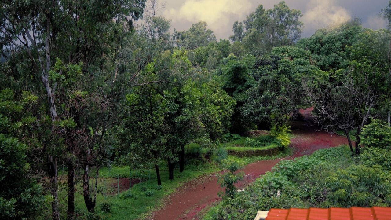 Photo of Outdoor in Chandoli