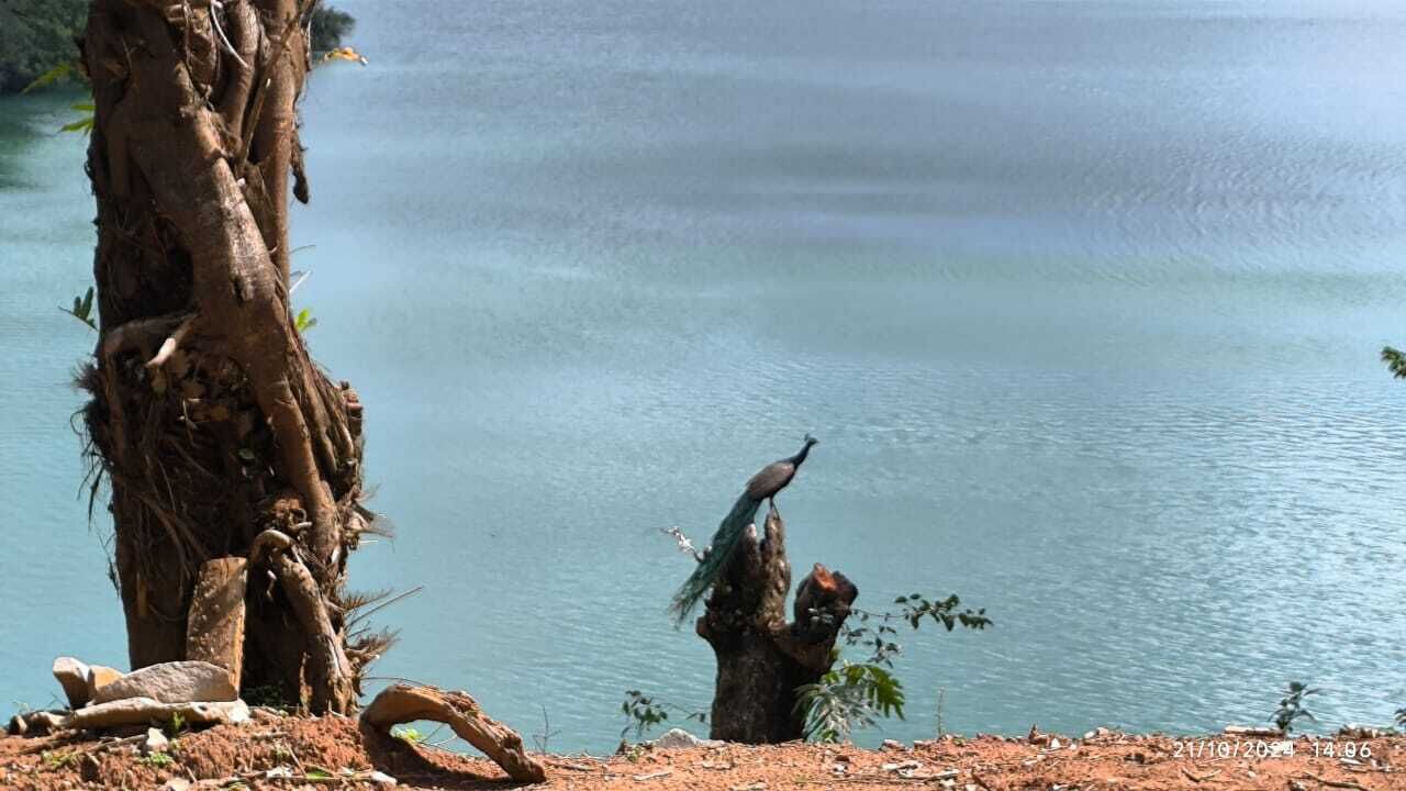 Photo of Outdoor in Tumari