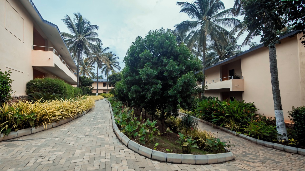 Photo of Outdoor in Chikkamagaluru
