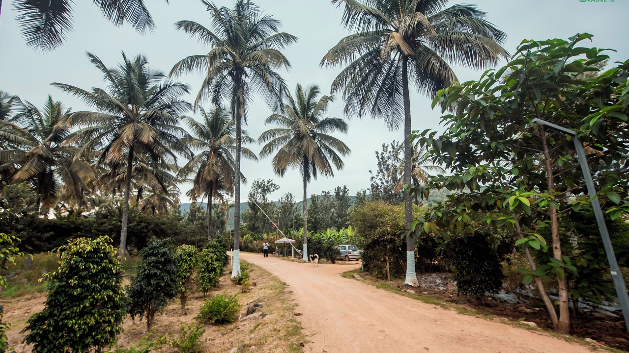 Photo of Outdoor in Chikkamagaluru