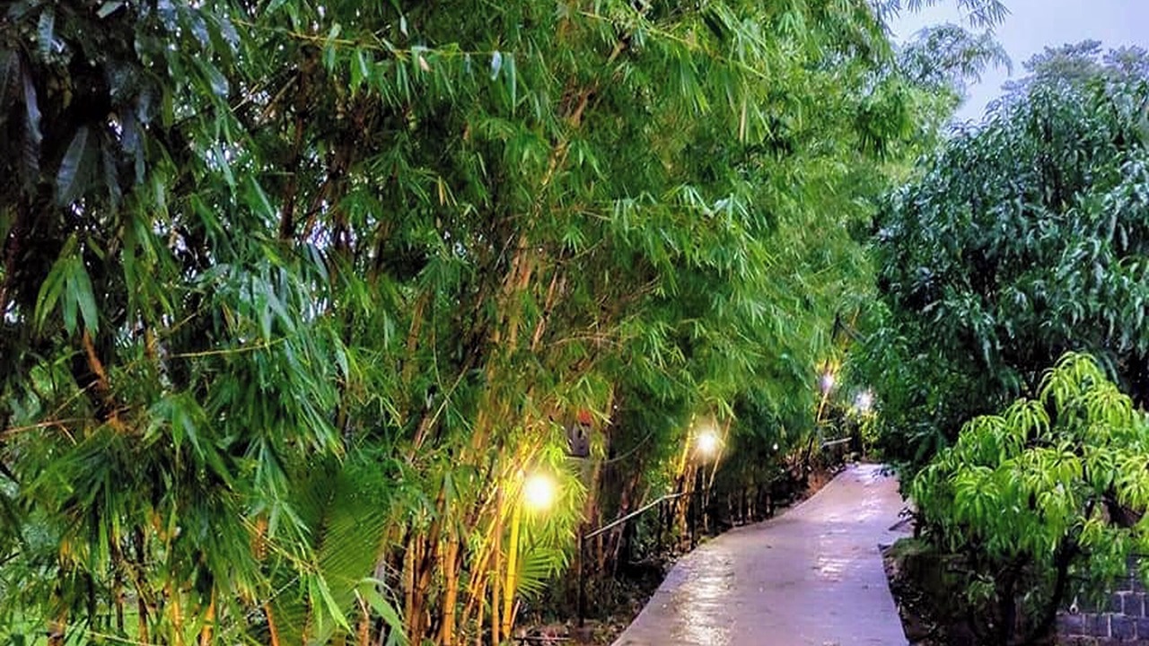 Photo of Outdoor in Ambavna