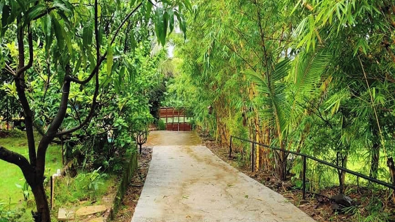 Photo of Outdoor in Ambavna
