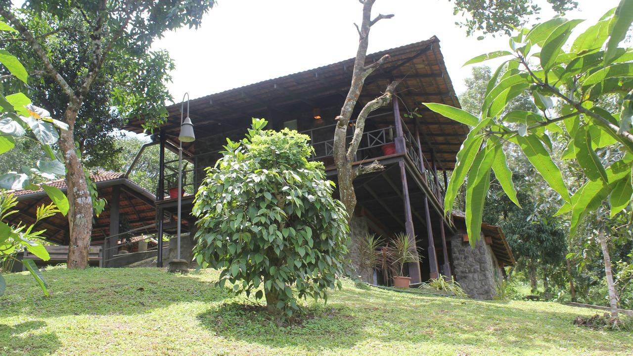 Photo of Outdoor in Udumbanchola