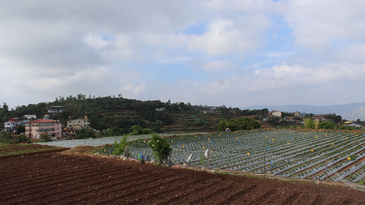 Photo of Outdoor in Mahabaleshwar