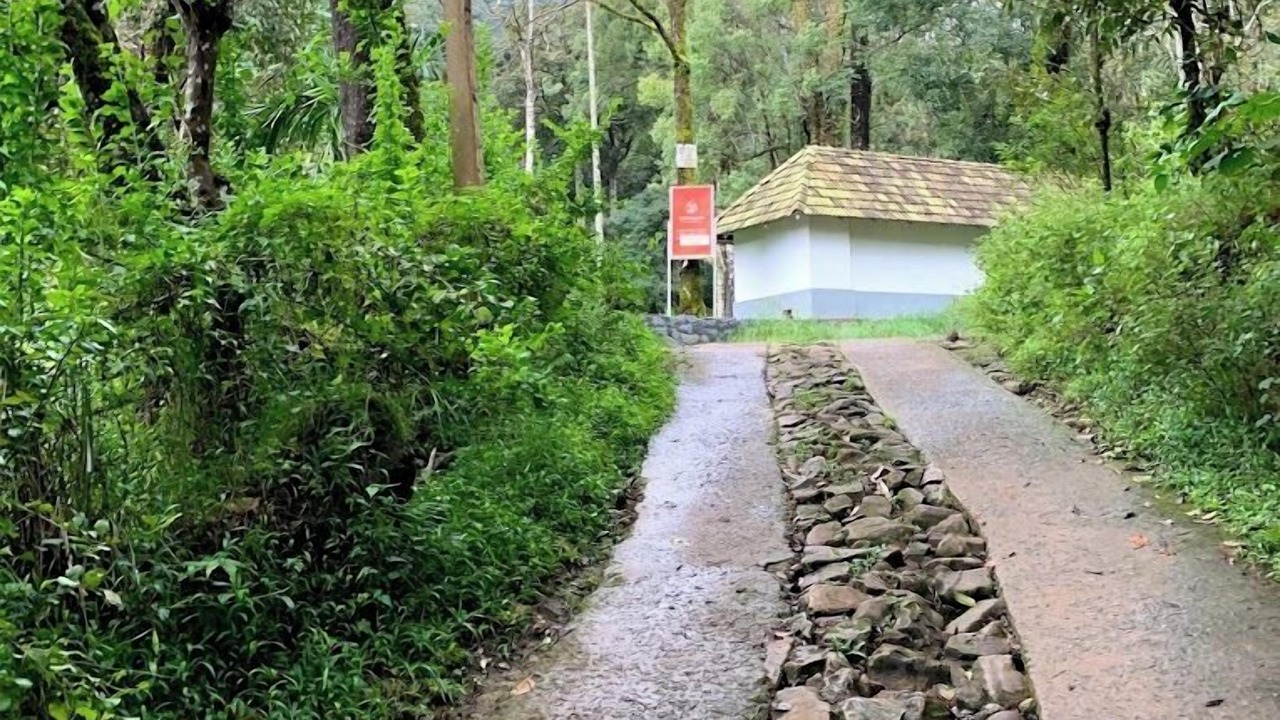 Photo of Outdoor in Kottappadi part